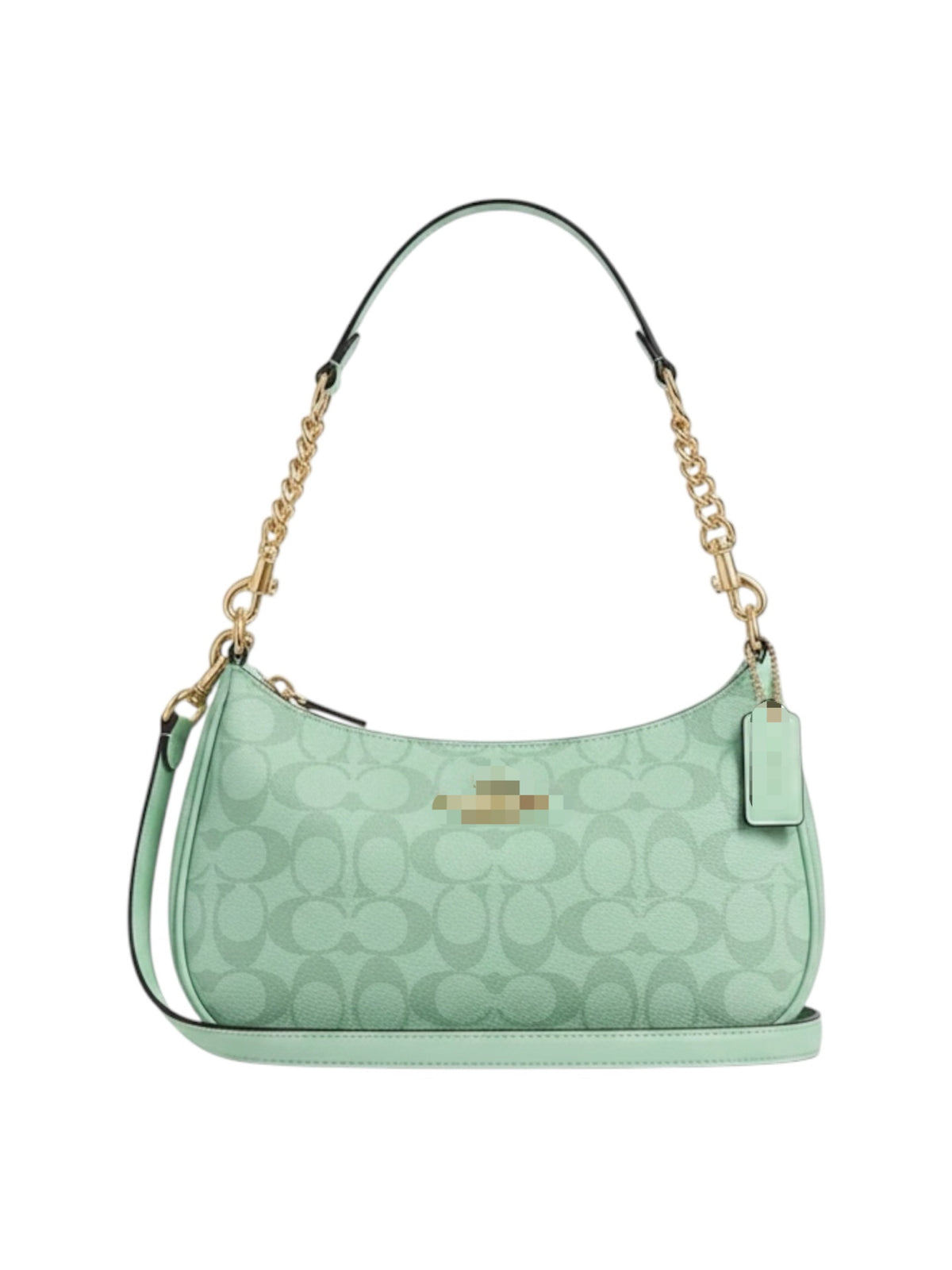 CH Teri bag