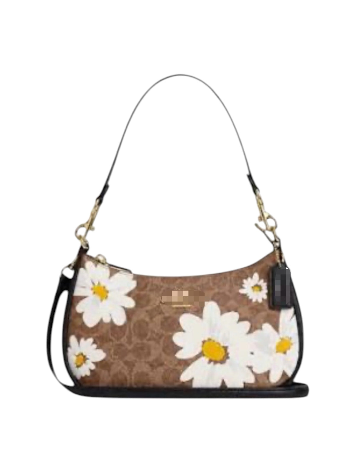 CH teri bag