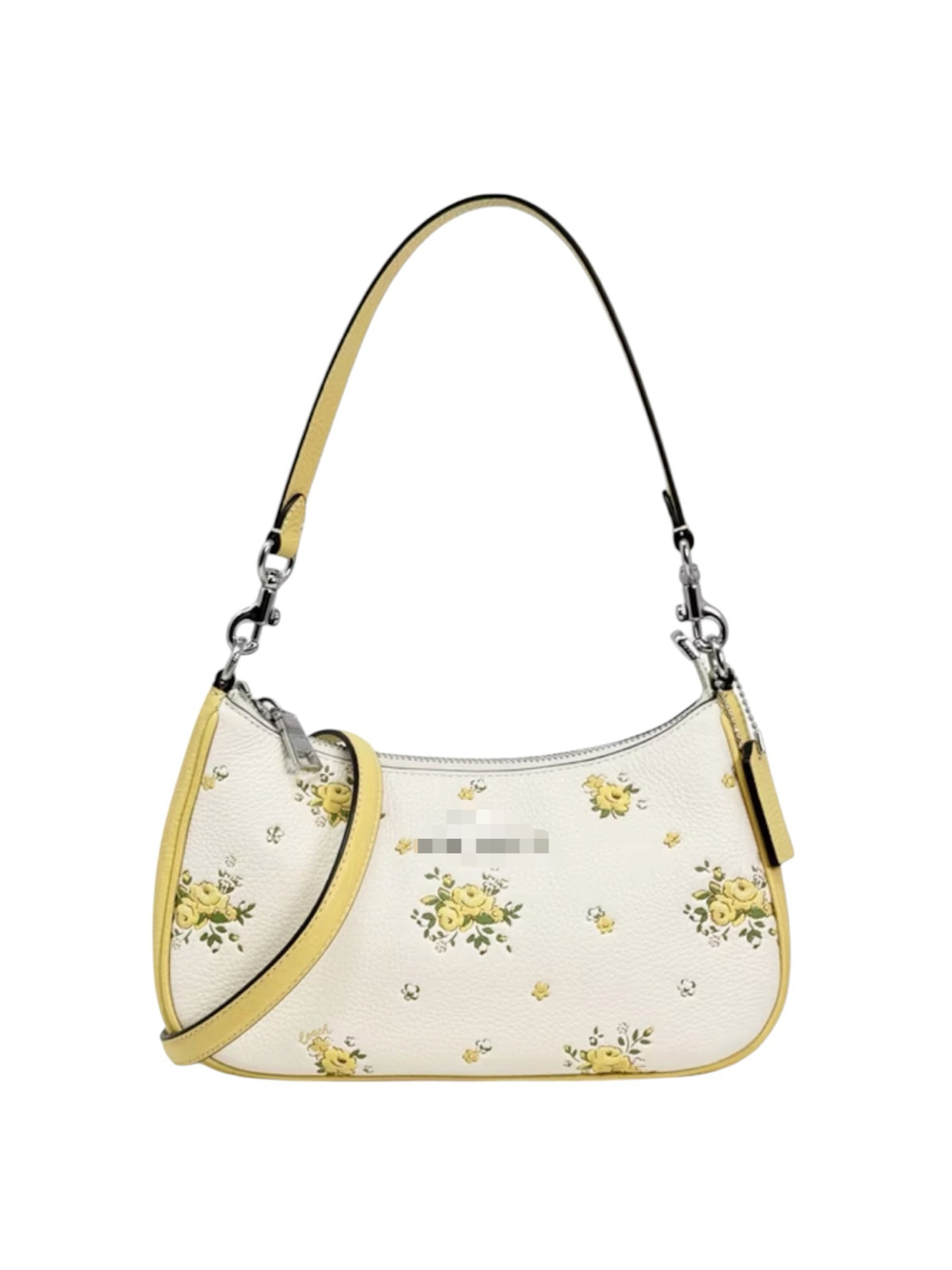CH teri bag