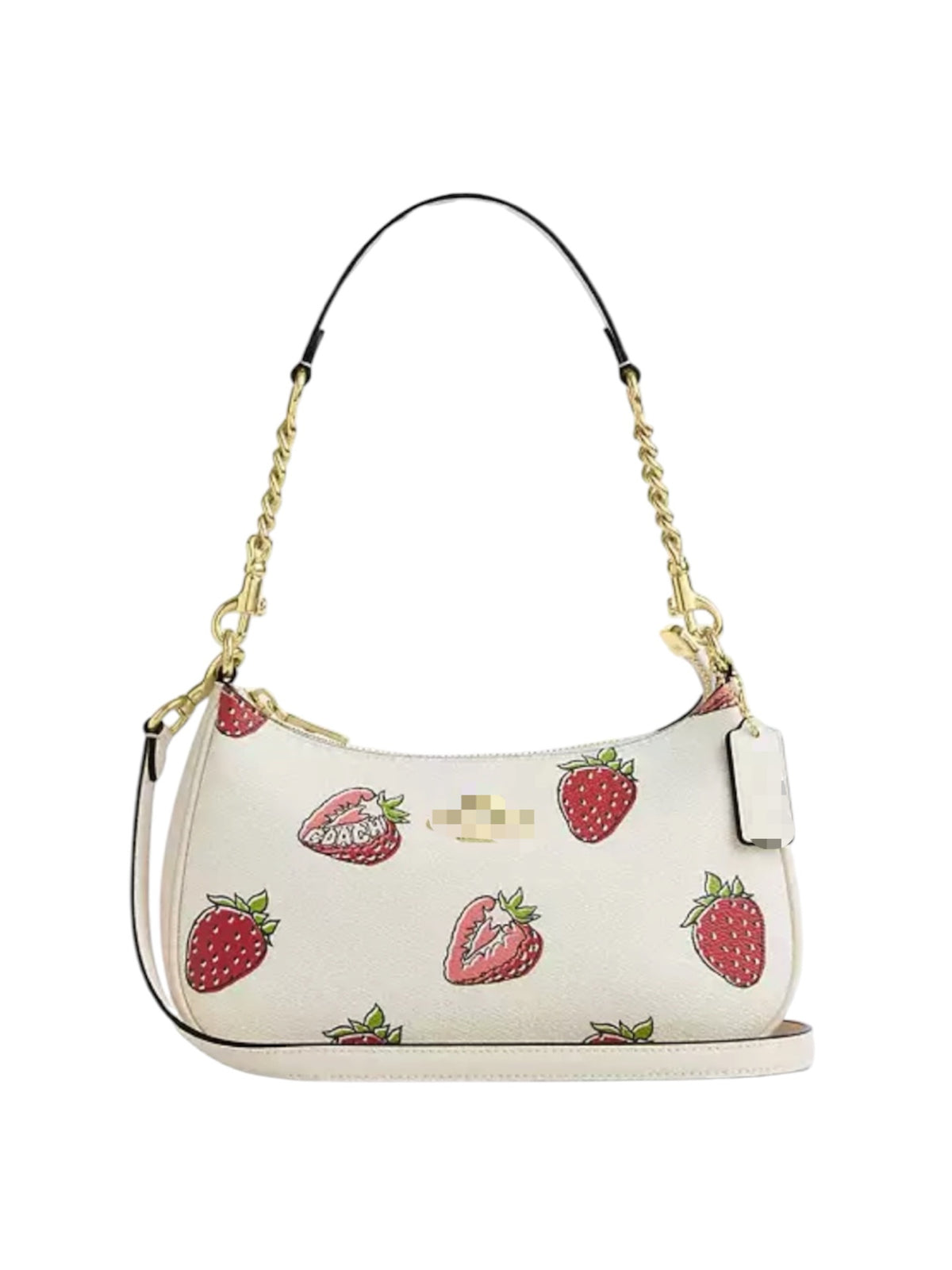 CH teri bag